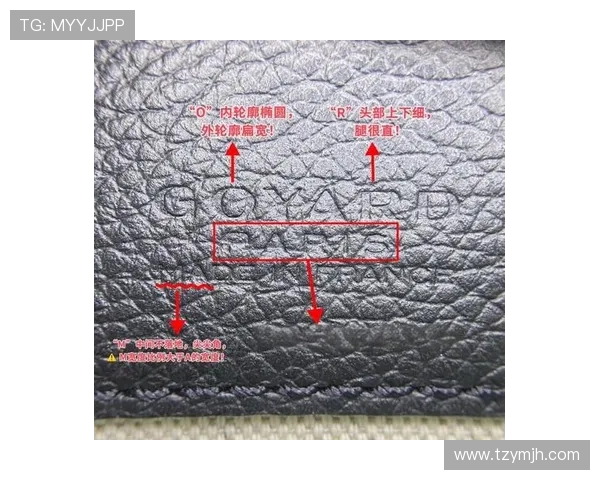 如何鉴定vs1441的真伪与质量标准详细指南